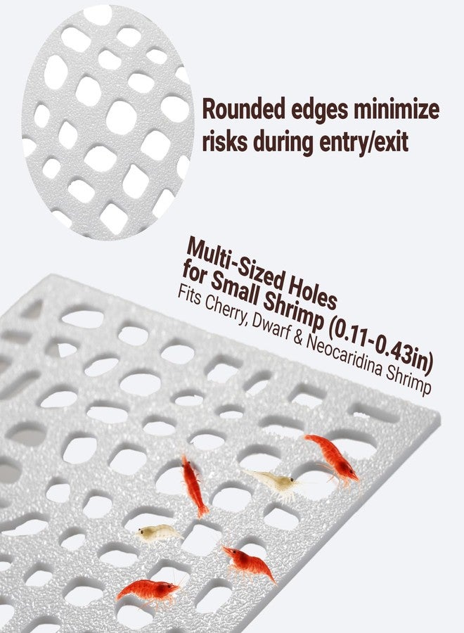 HERPDEN 2-Pack Aquarium Shrimp Shelter Hide, 5.5x4x1.3 inches, Multi-Sized Holes for Cherry and Dwarf Shrimp - Image 5